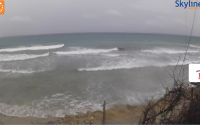 Screenshot 2022-11-05 alle 09.35.29