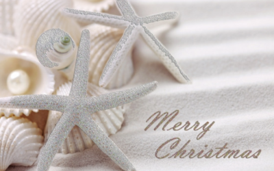 Screenshot 2022-12-23 alle 23.20.34