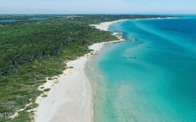 baia-dei-turchi_3-704x400