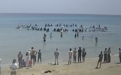 Schermata 2024-05-19 alle 12.32.41